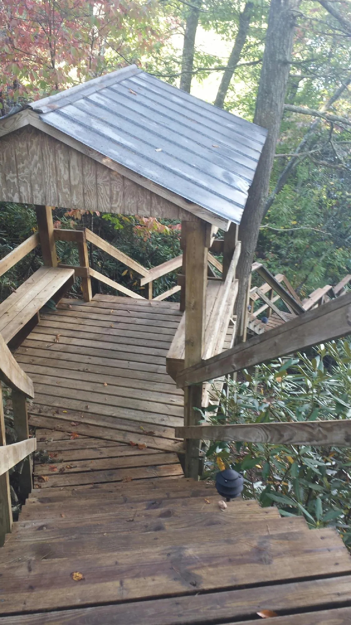 Metal roofed shelter over wooden steps on a wooded walkway — Skylight Repair & Installation work by our crew in Cedar Lane