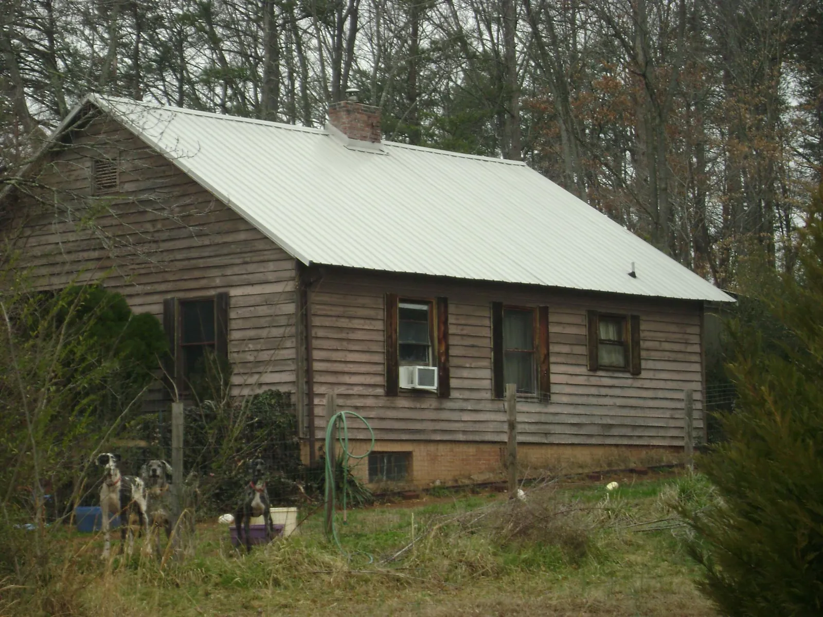 White metal roof on an old wood sided farmhouse, from a Asphalt Shingle Roof Repair job in Cedar Lane